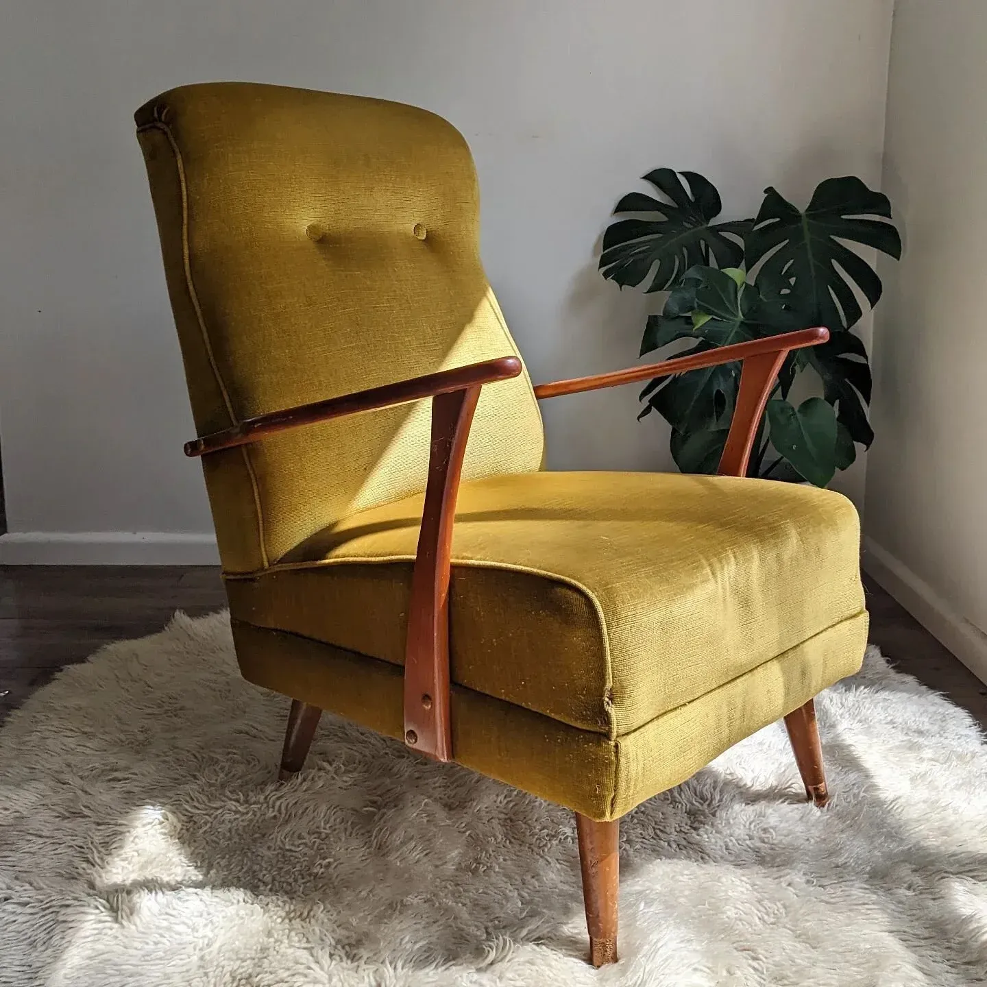 [SOLD] Seat dreams are made of these. Mustard velvet, tapered legs and low-profile wooden frame